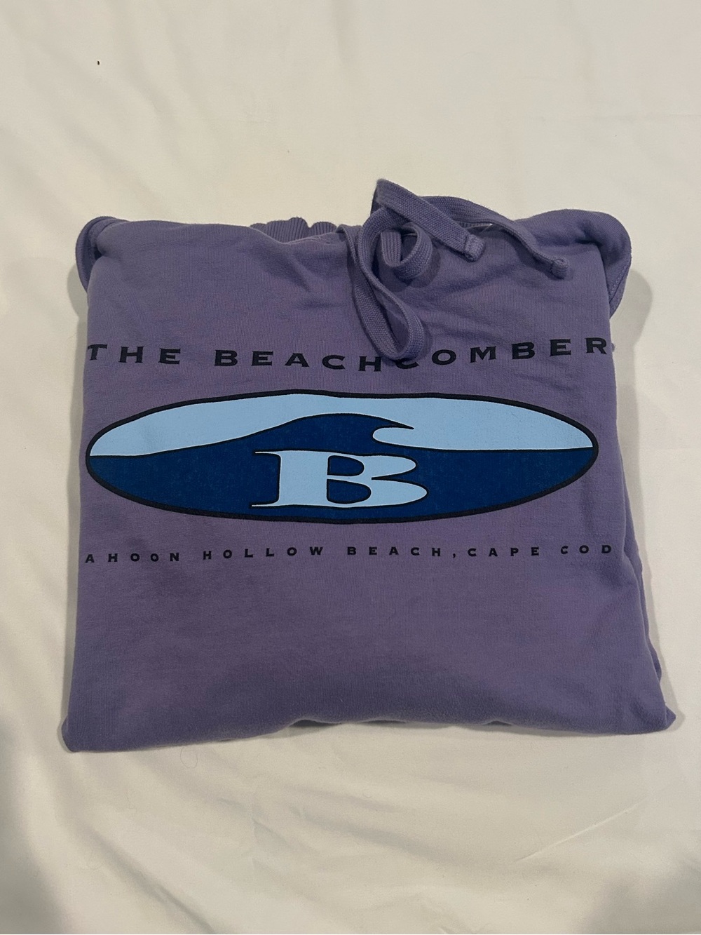 The Beachcomber Purple Graphic Hoodie with Blue Logo unisex